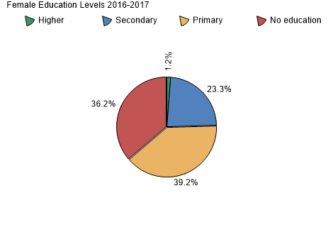 Female Education Levels 2016-2017